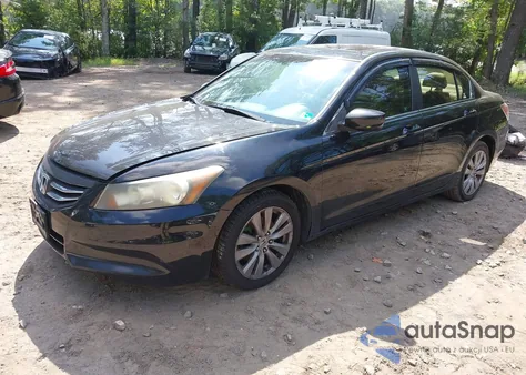 2011 Honda Accord 2.4 Ex-L из США, поврежденный, VIN 1HGCP2F86BA059649